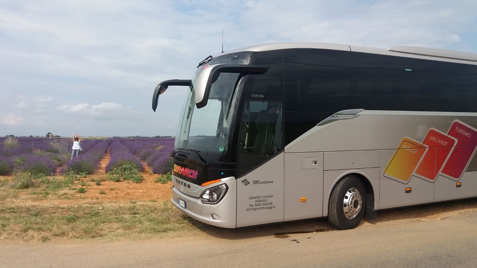 La PROVENZA e la CAMARGUE
